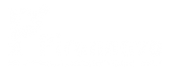 Pirannava Intelligence Oy